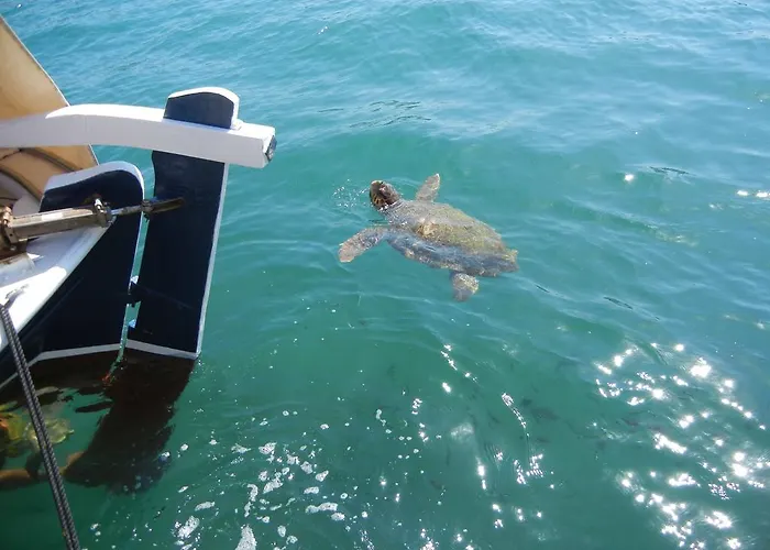 Appart hôtel Poseidon 4*