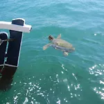 شقة فندقية Poseidon 4*